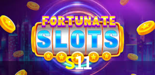 S11BET